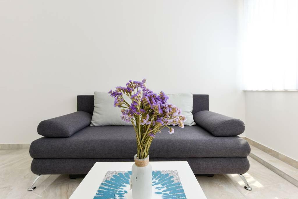 Ivy Apartments Zadar Dış mekan fotoğraf